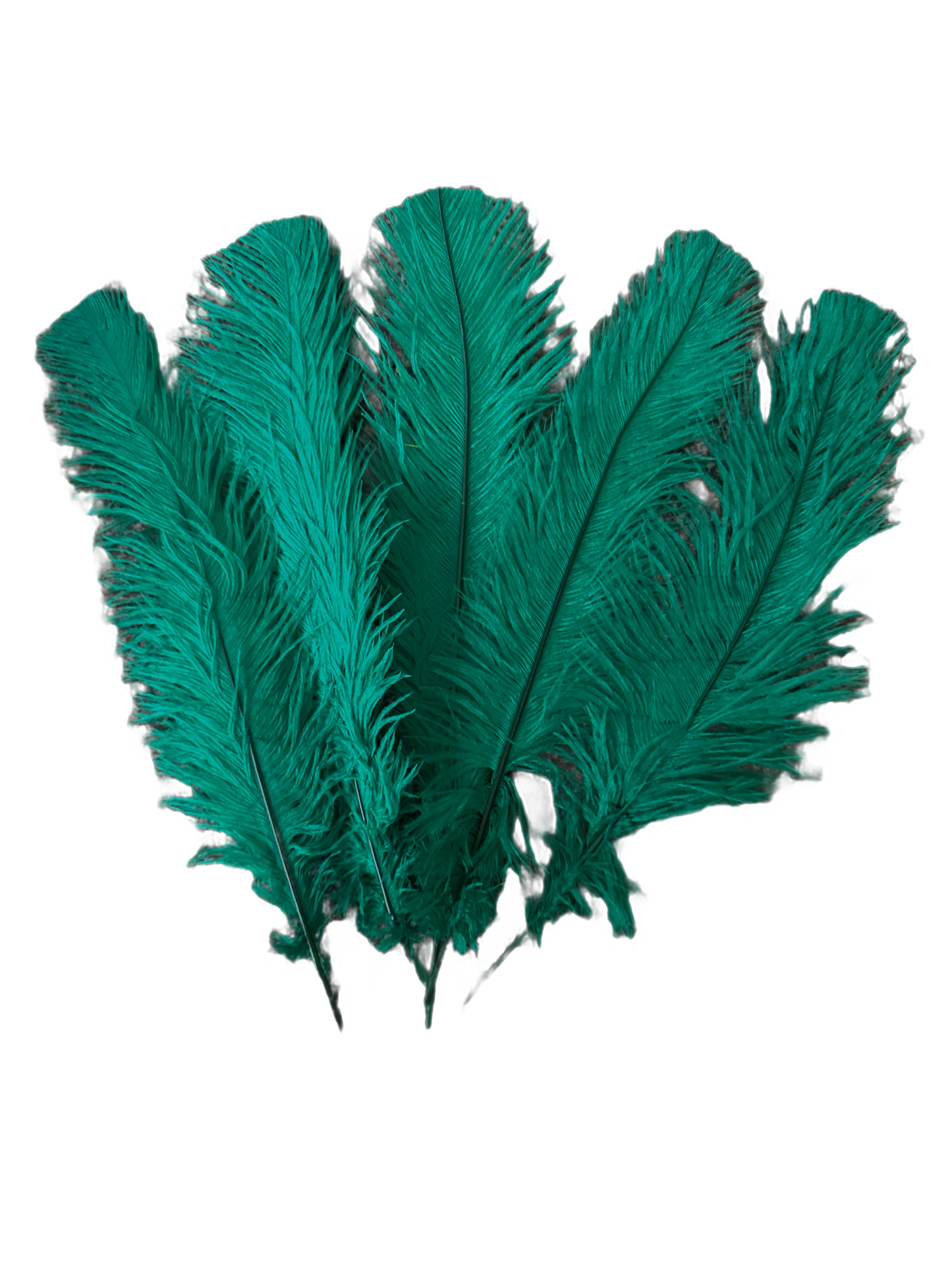 Emerald Green Ostrich feathers 100 pcs. 13-17 inch bulk ostrich feathers