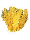 golden yellow ostrich feathers