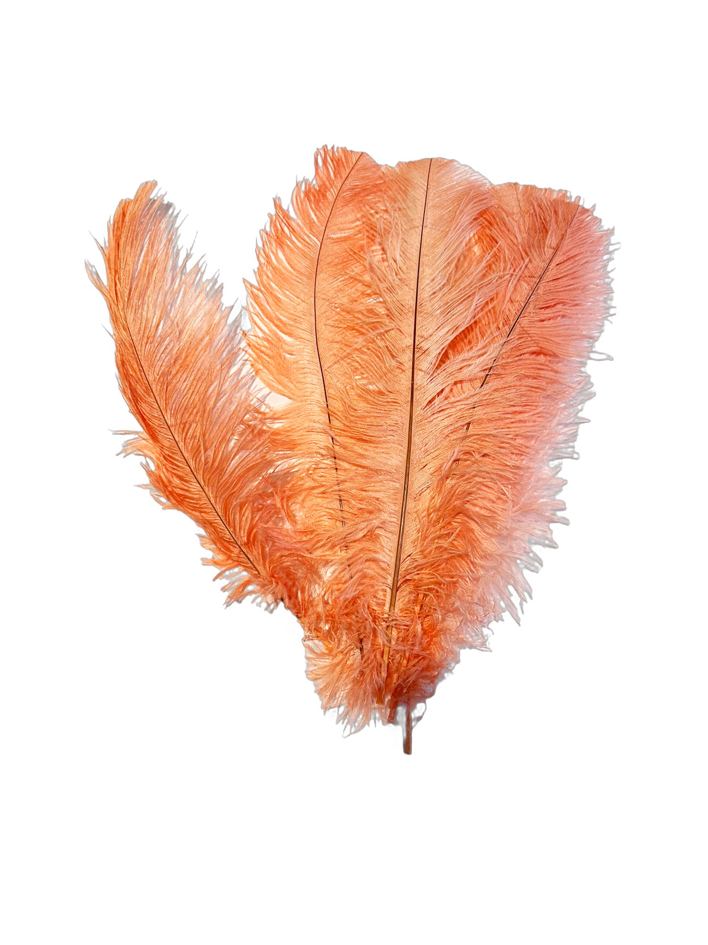 Apricot Ostrich feathers 100 pcs. 13-17 inch bulk ostrich feathers