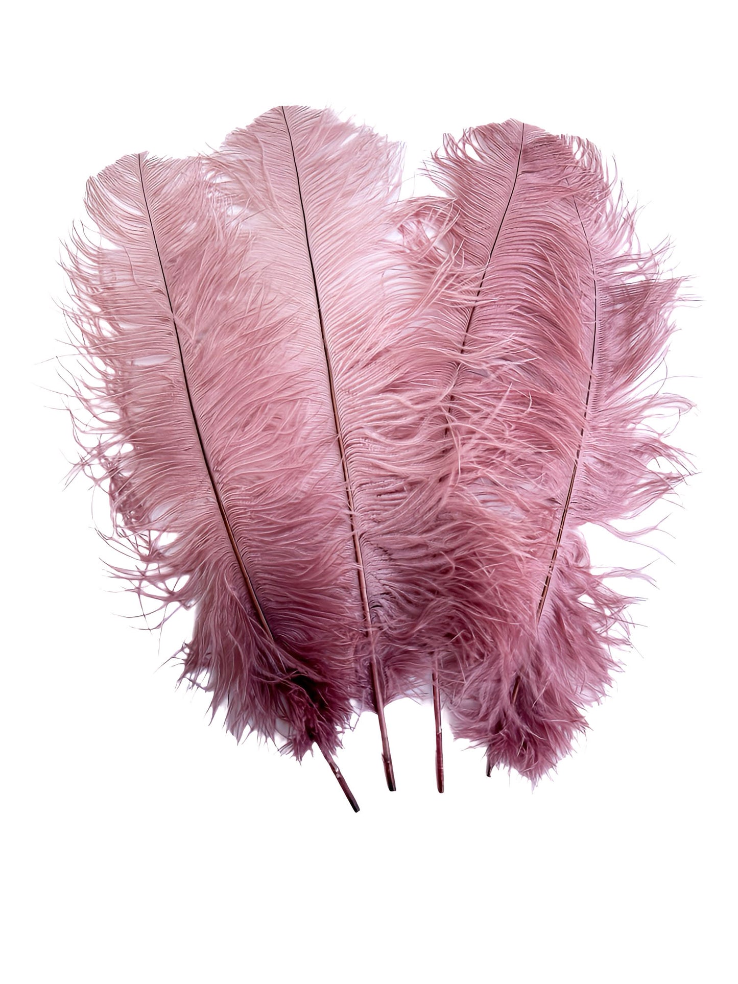 Mauve Ostrich feathers 100 pcs. 13-17 inch bulk ostrich feathers